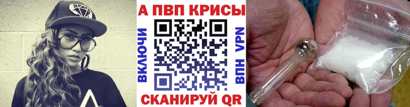 Альфа ПВП СК КРИС  Кинешма 