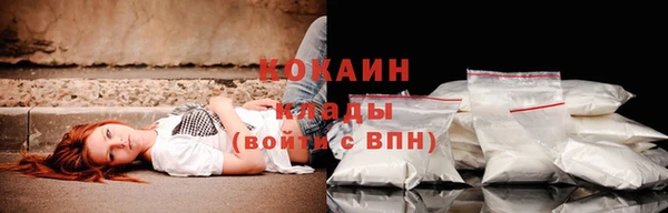 дмт Верея
