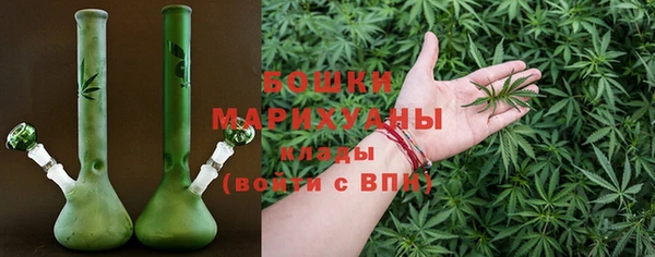 ГАЛЛЮЦИНОГЕННЫЕ ГРИБЫ Бронницы