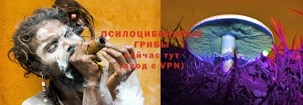 2c-b Семилуки