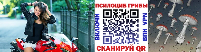 купить закладку  Кинешма  Псилоцибиновые грибы Magic Shrooms 